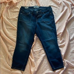 Torrid Jean Ankle Jeans Skinny